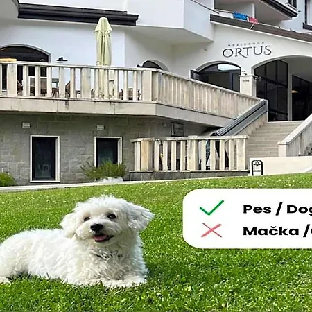 Rezidenca Ortus Hotel